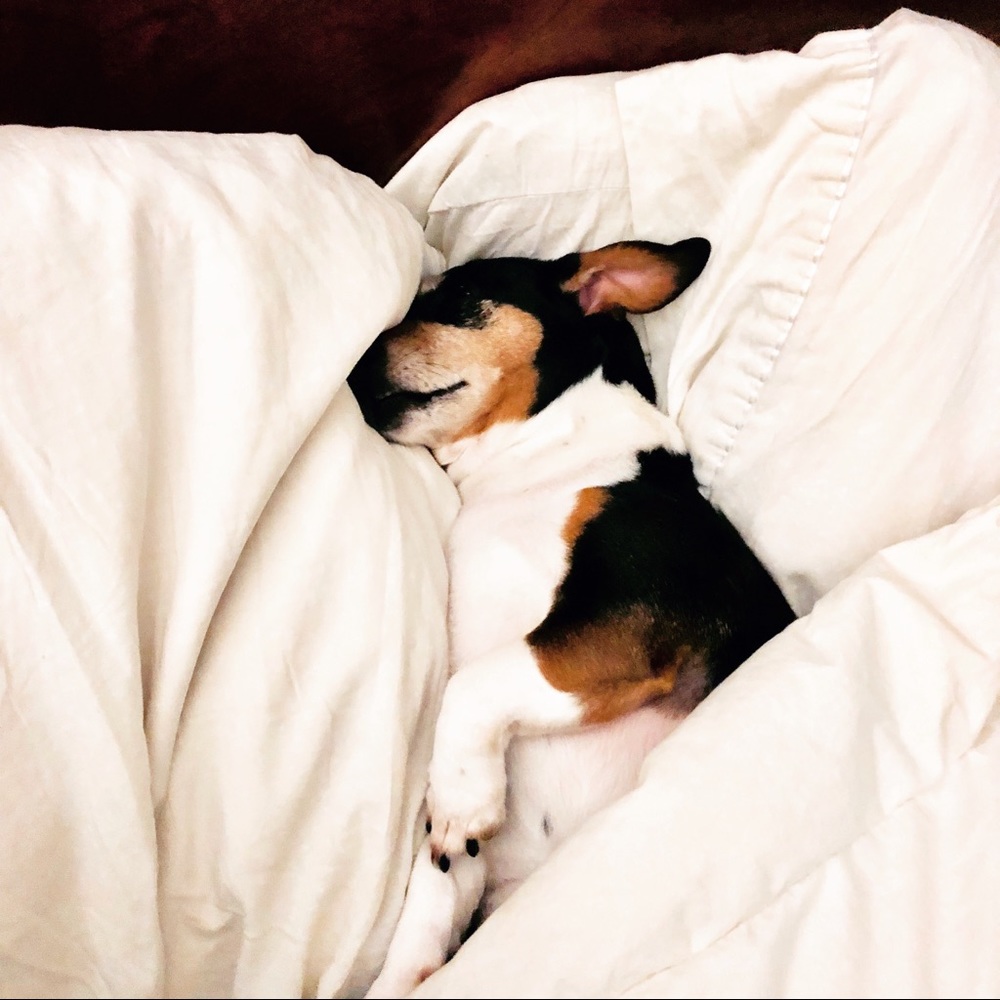 Meet Me On Fifth - your specially curated wardrobe